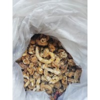 云南特产  昭通特产    竹笋