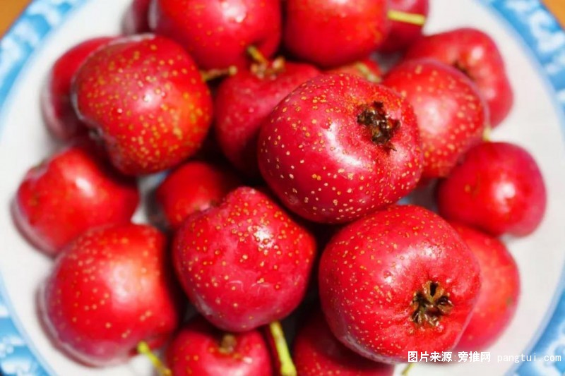 微信图片_20190527120243