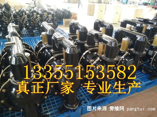 隔膜泵 (3)