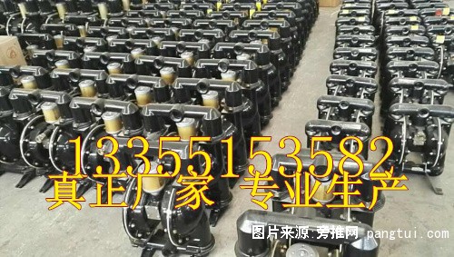隔膜泵 (1)