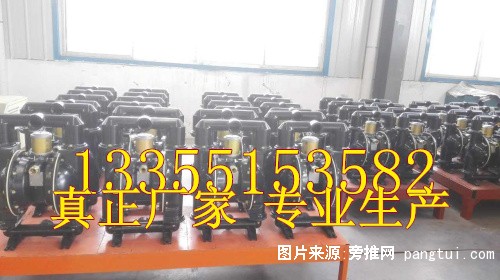 隔膜泵 (5)