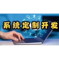 最新软件开发项目