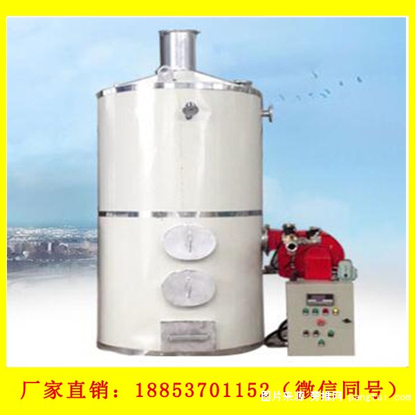 沼气锅炉69