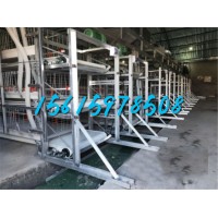 蛋鸡出粪带定做鸡用pp带