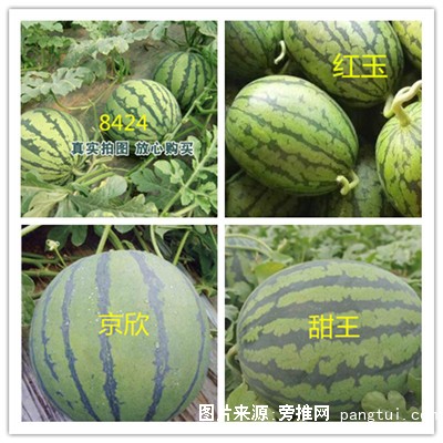 QQ截图20181218093912_副本_副本