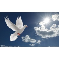 2020中国（福建）国际劳动保护用品交易会