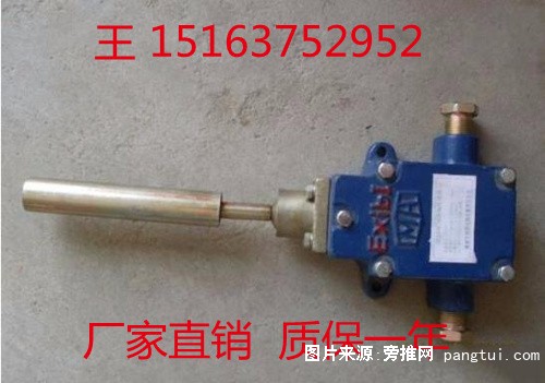 GEJ30跑偏传感器 (2)