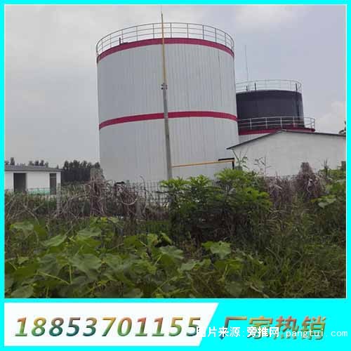 厌氧发酵罐 (5)