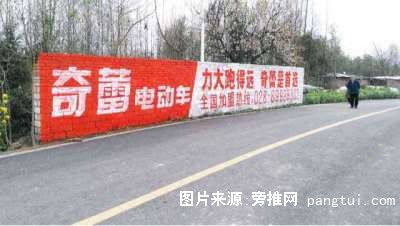 奇蕾电动车