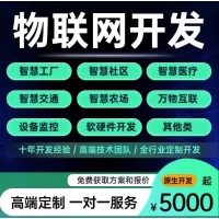 物联网开发APP小程序软件定制工业农业系统软硬件系统定制
